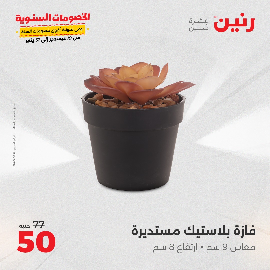 raneen offers from 5jan to 6jan 2025 عروض رنين من 5 يناير حتى 6 يناير 2025 صفحة رقم 65